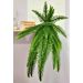 Kit 2 Planta Artificial Ornamental Samambaia Exótica 1,10M