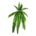Kit 2 Planta Artificial Ornamental Samambaia Exótica 1,10M