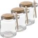 Kit 3 Pote Vidro Borossilicato Colher De Madeira Rolha 240ml