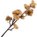 Kit 4 Plantas Artificiais Mamonas Marrom Enfeite Jardim 70cm