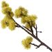 Kit 4 Plantas Artificial Mamonas Amarelo Escuro Jardim 70cm