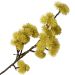 Kit 4 Plantas Artificial Mamonas Amarelo Escuro Jardim 70cm