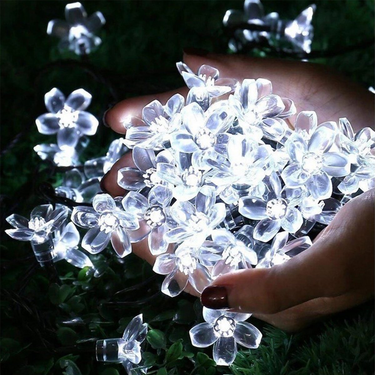 Pisca Cordão Flores Cerejeira Solar Externo 5M 20LEDs Branco