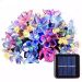 Pisca Cordão Flores Natal Solar Externo 5M 20 LEDs Colorido