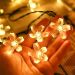 Pisca Cordão Flores Natal Solar Externo De 5M 20LEDs Amarelo