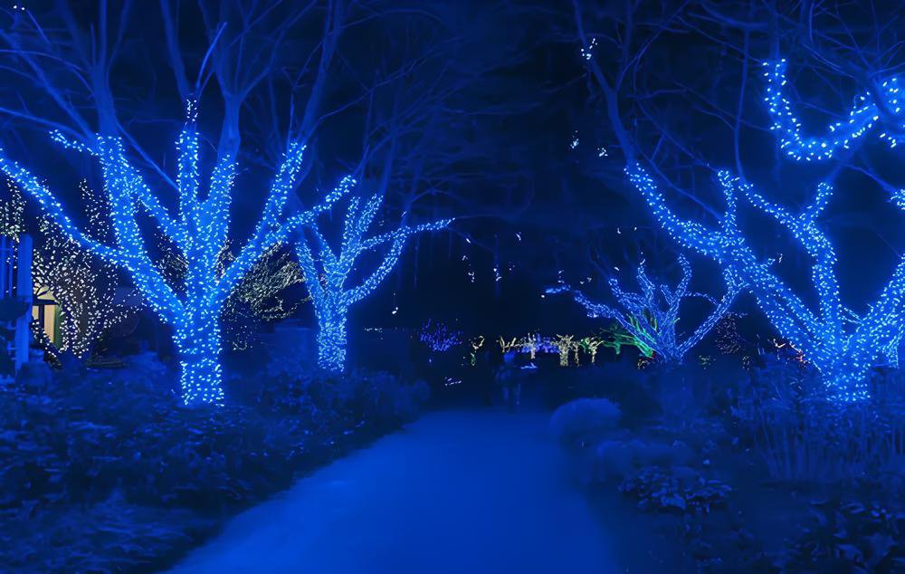 Pisca Cordão Varal Decorativo Com LEDs Azul Redondo 100M