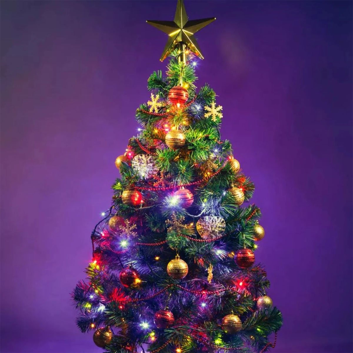 Pisca Varal Cordão Natal 600 Lâmpadas LED Colorido 100M 220v