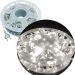 Pisca Varal Cordão Natal 600 Lâmpadas LEDs Branco 100M 220v