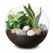 Vaso Aquario De Vidro Vaso Redondo 2 L  