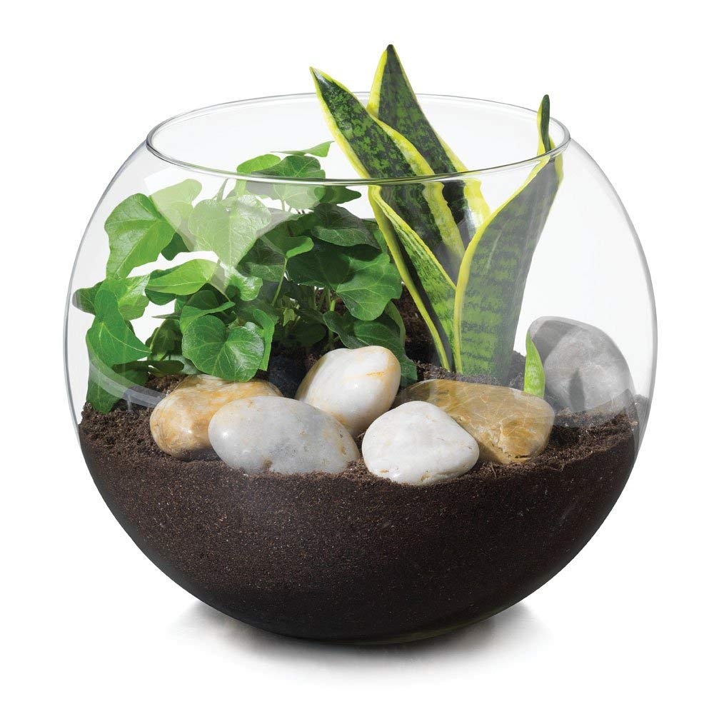 Vaso Aquario De Vidro Vaso Redondo 2 L  