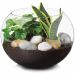 Vaso Aquario De Vidro Vaso Redondo 4,5 L  