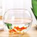 Vaso Aquario De Vidro Vaso Redondo 4,5 L  