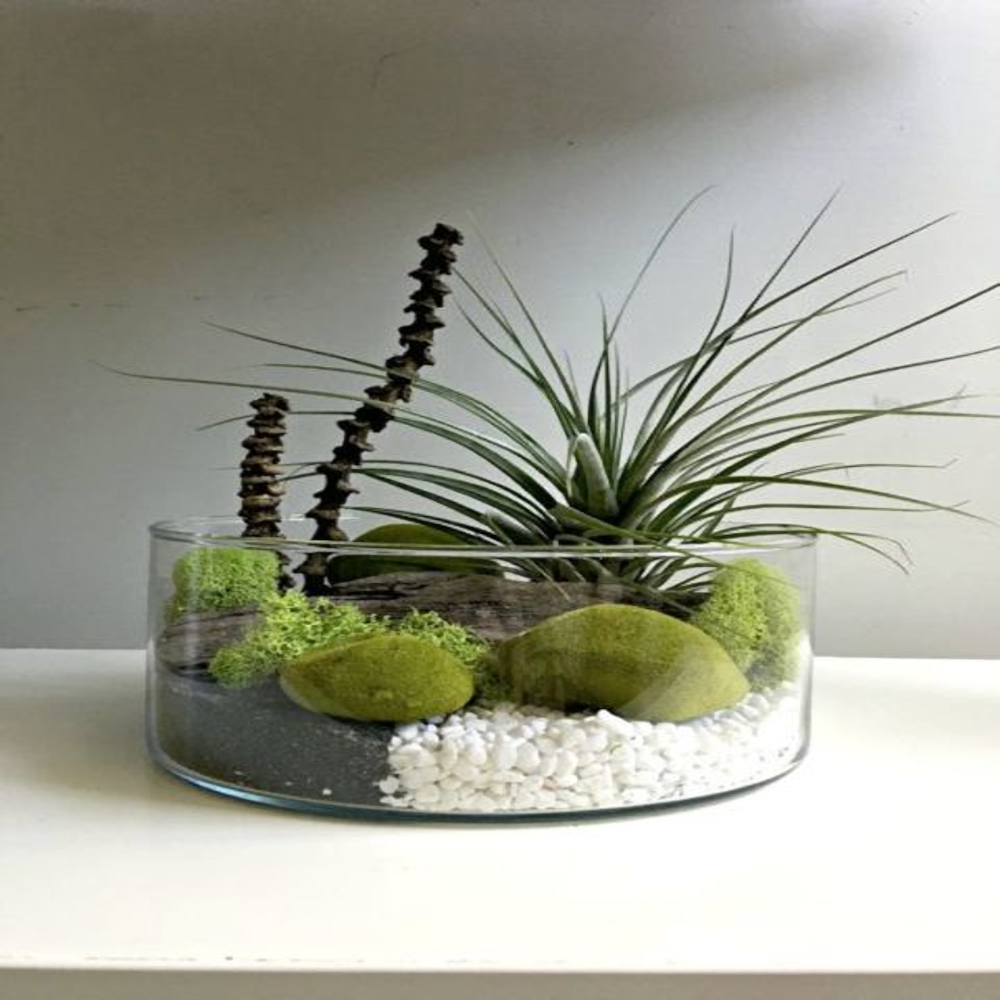 Vaso Cilindro para Terrário de suculentas, Centro de Mesa Vela Flutuantes 