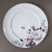 Jogo 12 Pratos Porcelana Rasos Redondos 27cm Garden Estampa