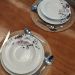 Jogo 6 Pratos de Porcelana com Estampa Floral Germer Fundos