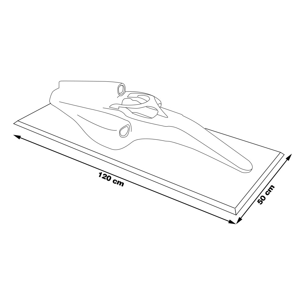 Quadro Decorativo 3D 120cm X 50cm Carro F1 W11 LH G53 - Gran Belo
