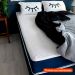 [OUTLET] Colchão King Mola Ensacada Guldi Firme (25x193x203) Azul e Branco