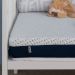 Colchão Infantil Guldi Baby D20 (10x70x130) Branco e Azul