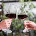 Jogo de Taças de Vinho 6 Peças Taças de Cristal Ecológico 460ml Haus Concept
