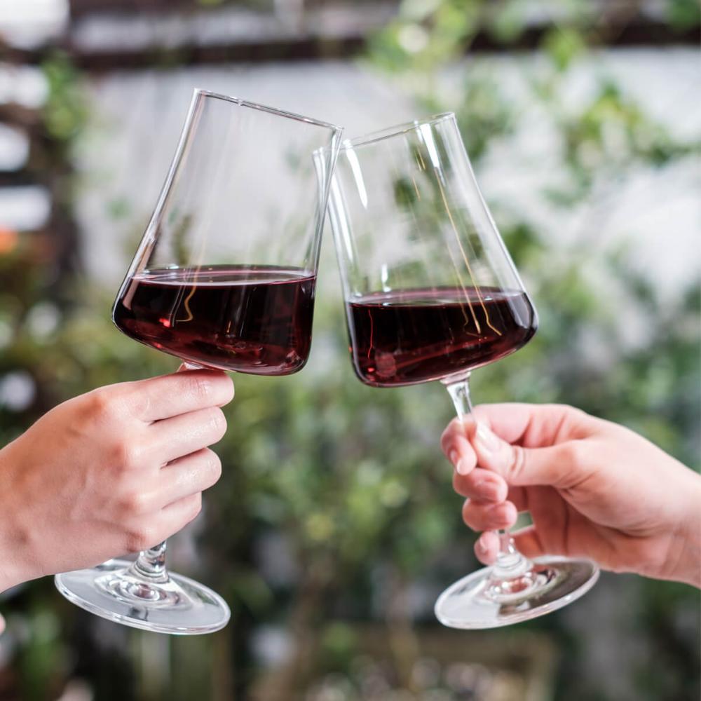 Taça de Cristal para Vinho Tinto 460ml Pleasure Haus Concept
