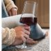 Taça de Cristal para Vinho Tinto 460ml Pleasure Haus Concept