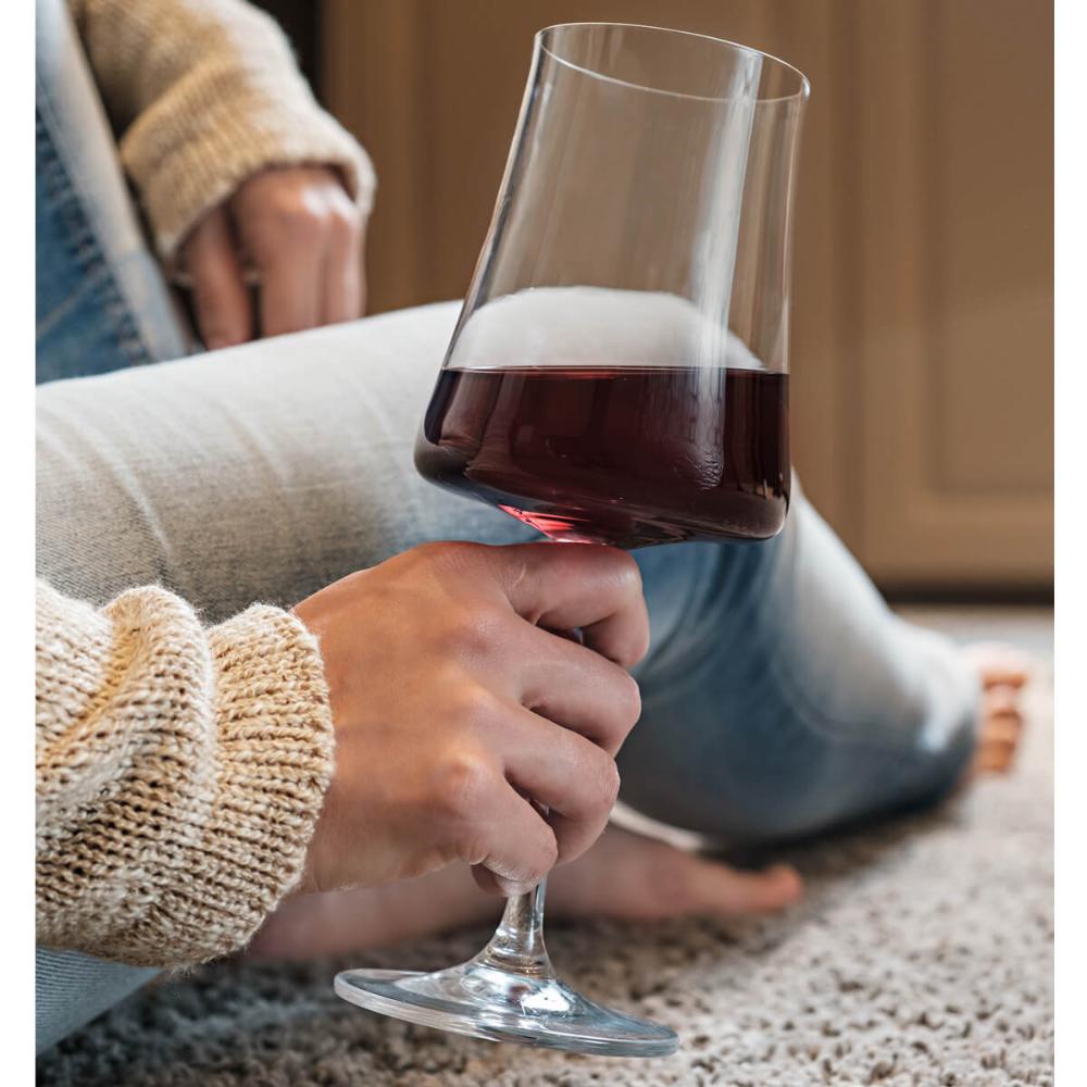 Taça de Cristal para Vinho Tinto 460ml Pleasure Haus Concept