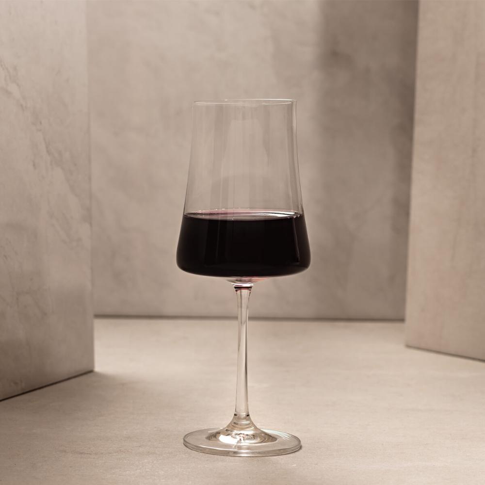 Taça de Cristal para Vinho Tinto 460ml Pleasure Haus Concept