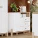 Cômoda 3 Gavetas com Porta e Nicho - Ternura Branco / Jequitibá HP