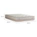Colchão Casal Lyon Mola Maxspring (31x138x188) Bege e Branco