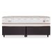 Colchão King Lyon Mola Maxspring (31x193x203) Bege e Branco
