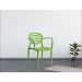Cadeira Stripe com Braço Greenery