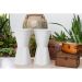 Conjunto com 4 Bancos Dub Branco