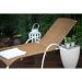Conjunto com 6 Bancos Moly  Branco