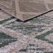 Tapete para Sala Classic Fiji 15 Creme-Verde 3,00X4,00M