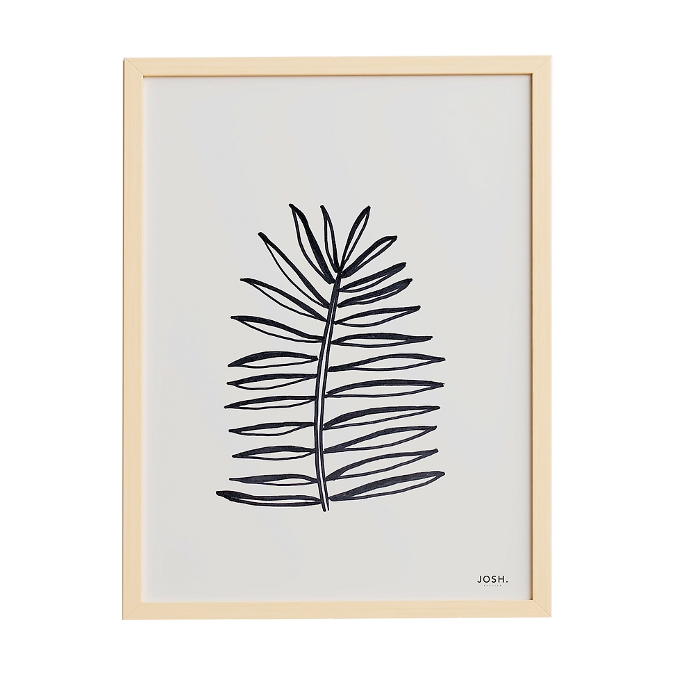 Quadro Folha de Coqueiro 40x60 - JOSH
