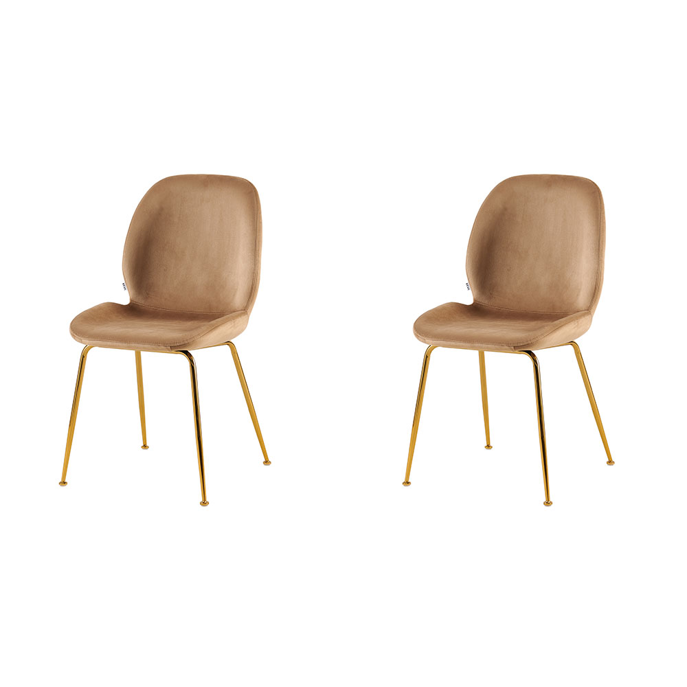 Conjunto com 2 Cadeiras Lille Beetle Marrom Base Dourada