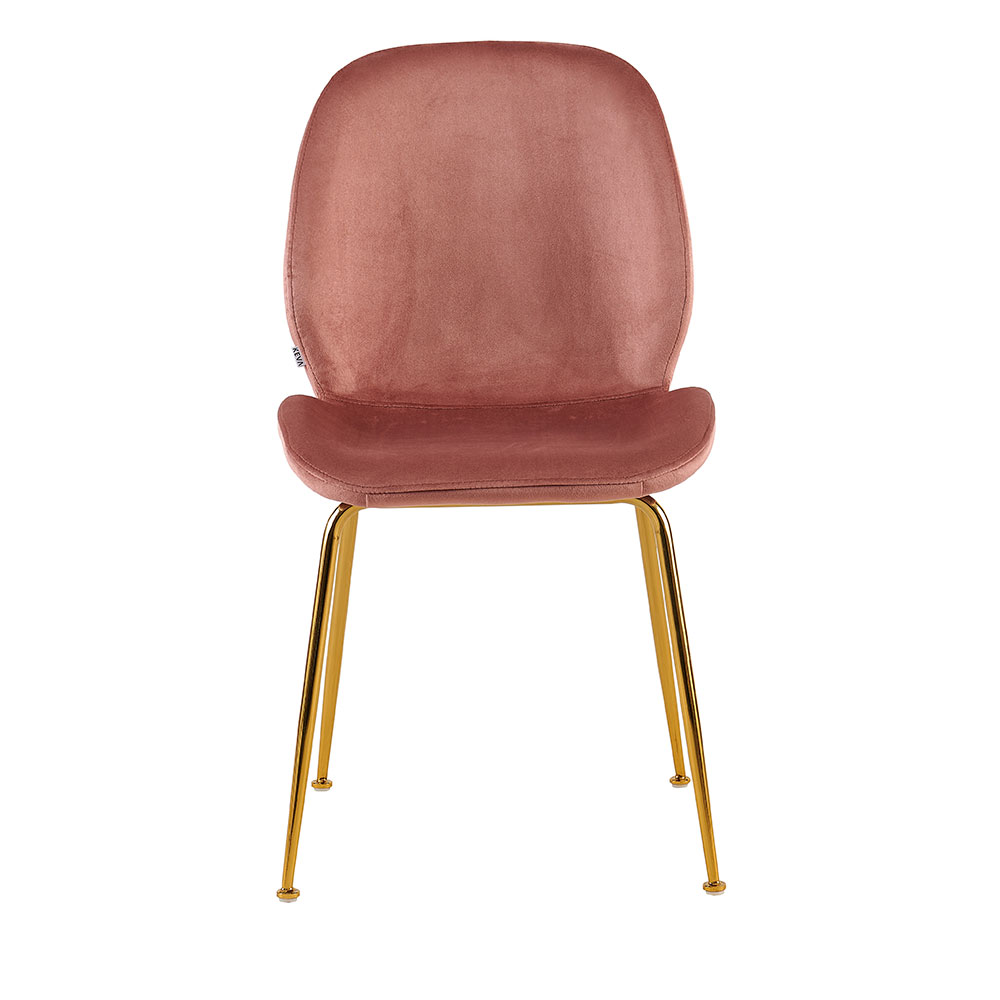 Conjunto com 2 Cadeiras Lille Beetle Rose Base Dourada
