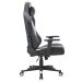 Cadeira Gamer Titans Hyperion Preta e Branca