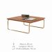 Mesa de Centro Munique 70x70 cm Castanho com Base Dourada