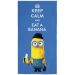 Toalha de Banho Felpuda Estampada Minions 1C
