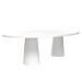 Mesa de Jantar 120x80 Cone Orgânica Nuvem cor Branca