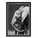 Quadro Caixa Elefante Kid