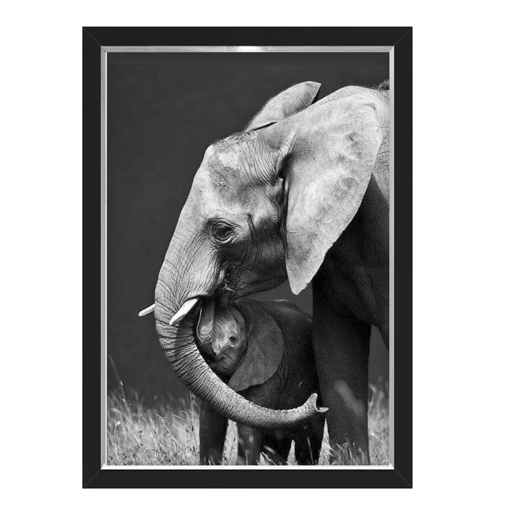 Quadro Caixa Elefante Kid