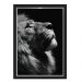Quadro Caixa Leao Black