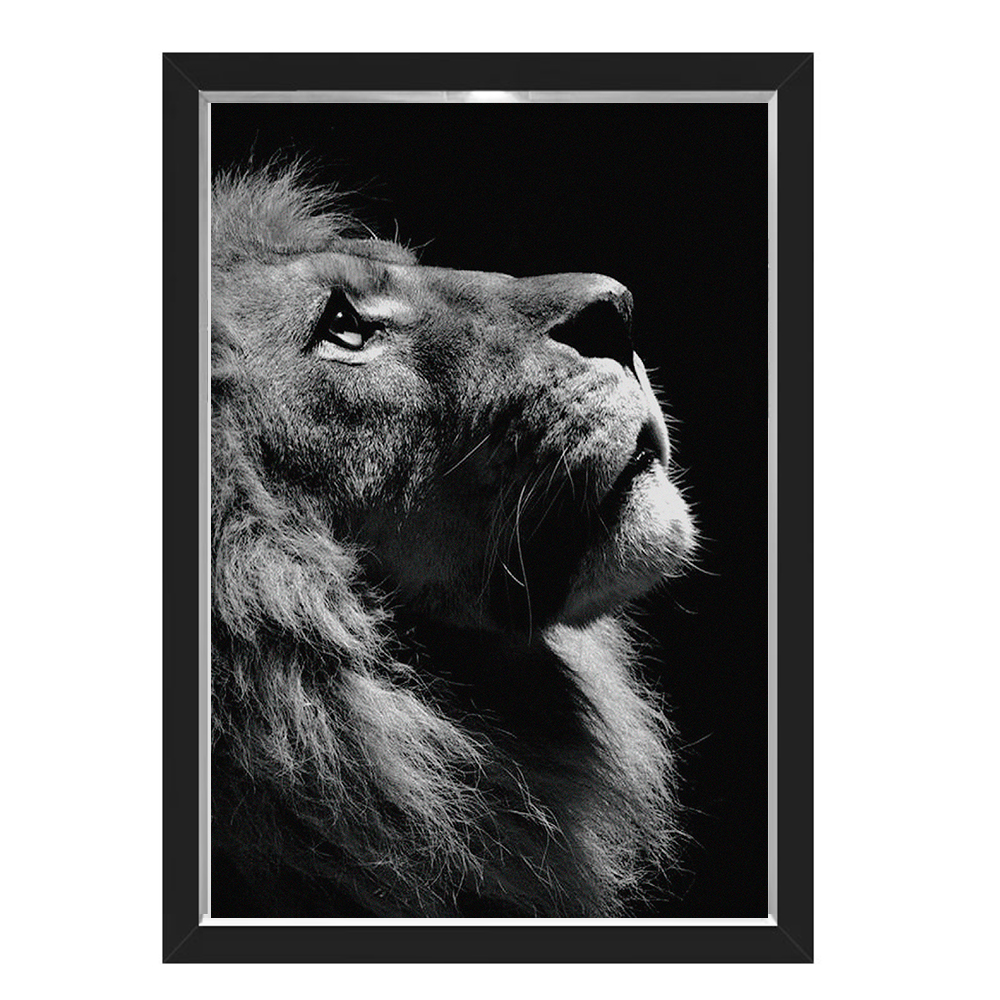 Quadro Caixa Leao Black