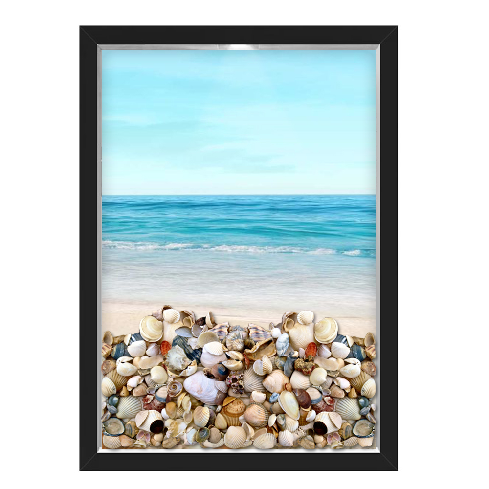 Quadro Caixa Porta Conchas Praia Mar
