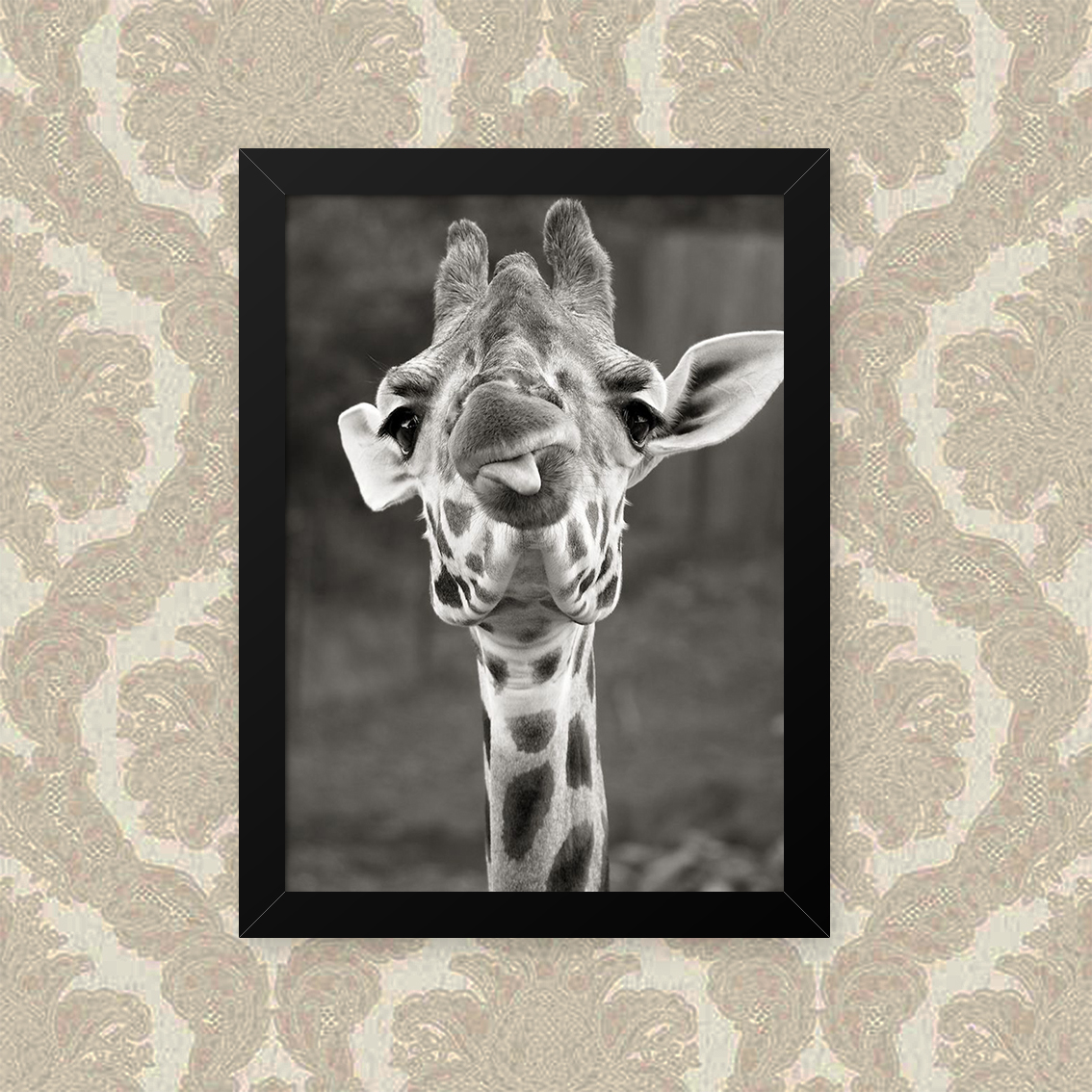 Quadro Girafa Lingua 33X43cm