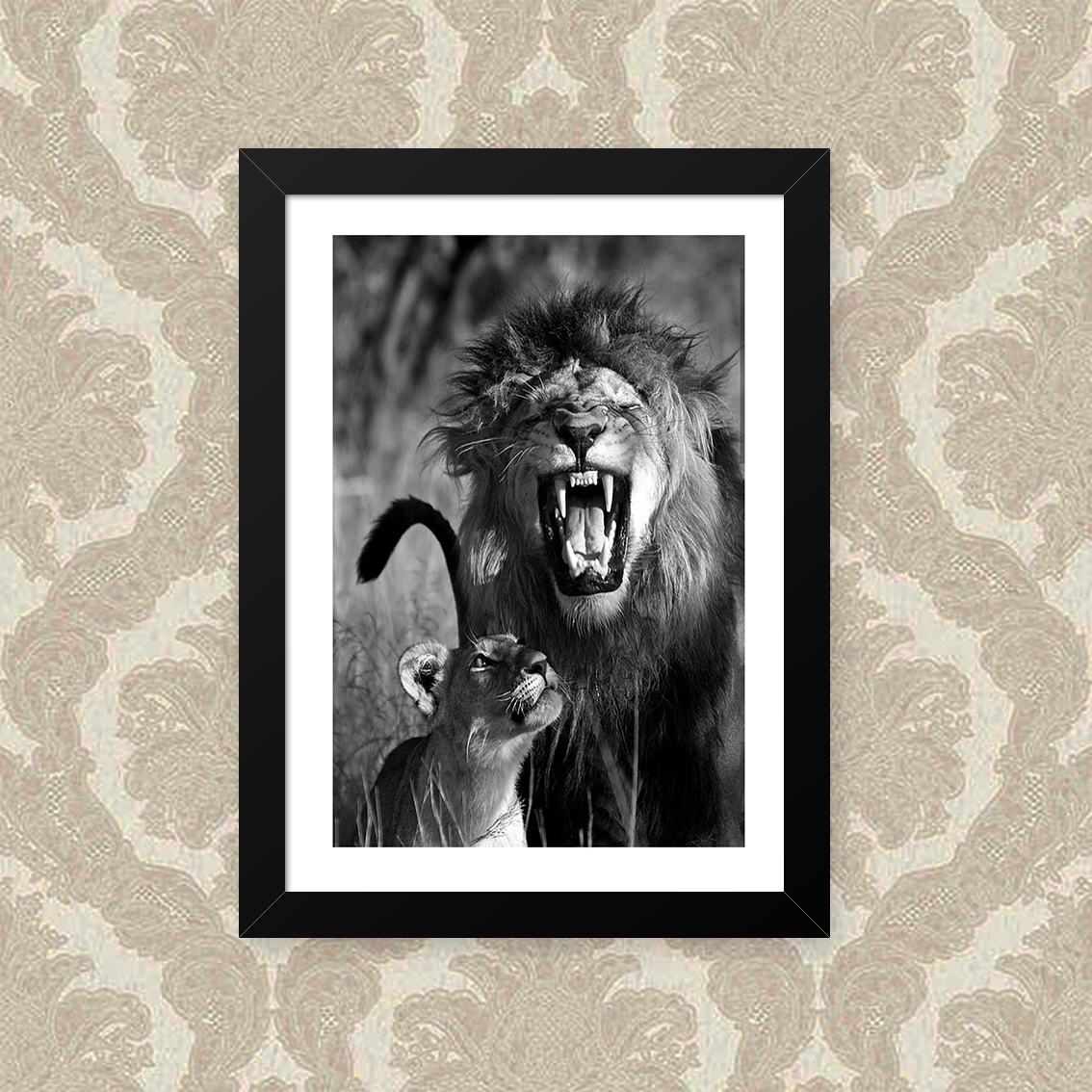Quadro Leao Leoa 33X43cm