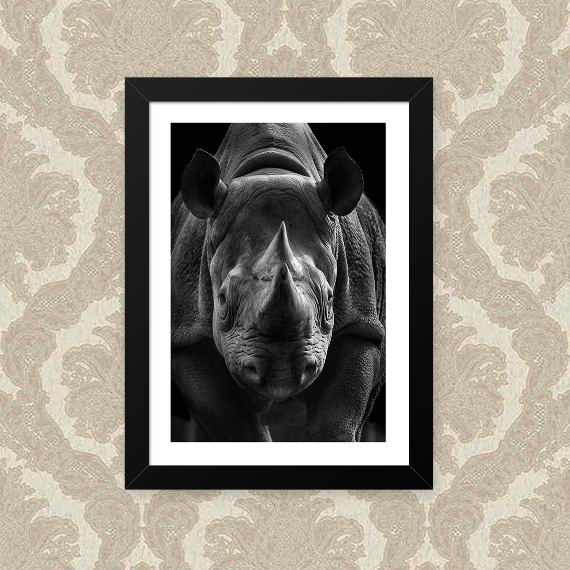 Quadro Rhino 33X43cm