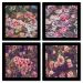 Quadros 20X20 (4 Uni) Nerderia Comida Quadro Negro